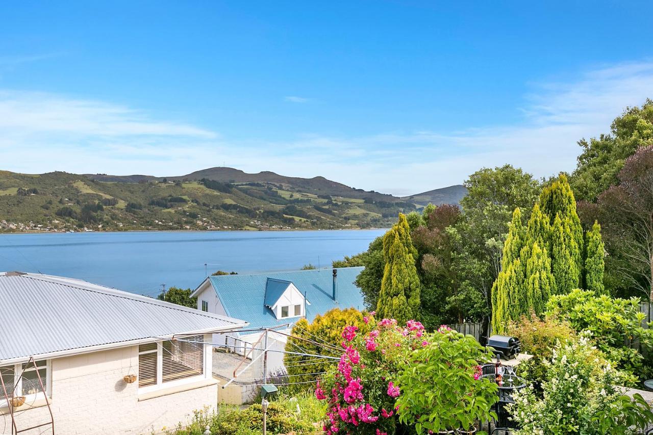 Macbay Retreat - Macandrew Bay Holiday Home Company Bay Bagian luar foto